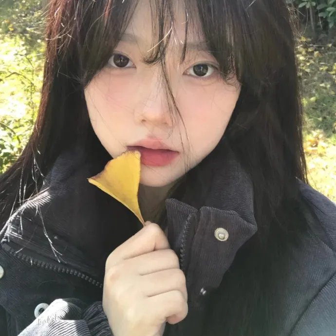 我属于谁